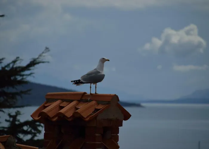 Апартаменты Lily *